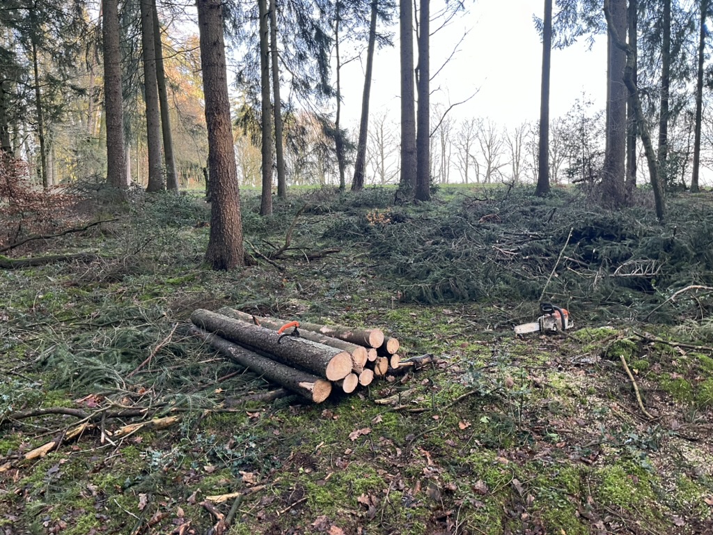 Brennholz aus Kronenholz aufgearbeitet im Wald