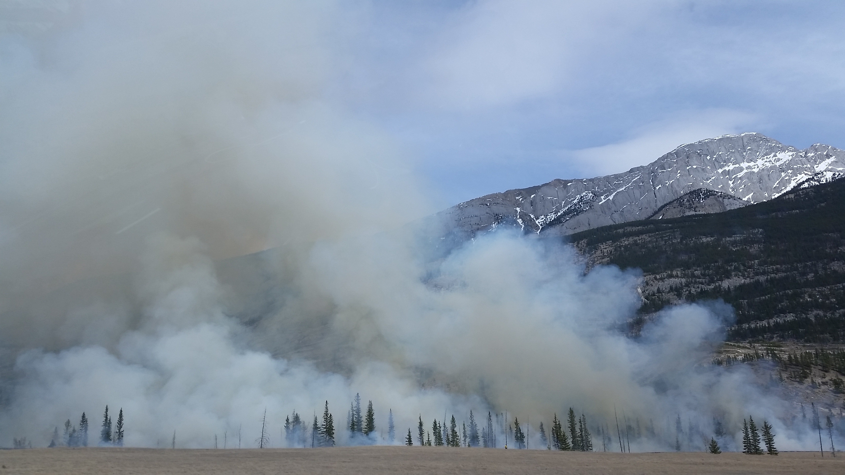 Waldbrand
